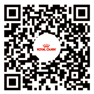 皇家兽医精英荟