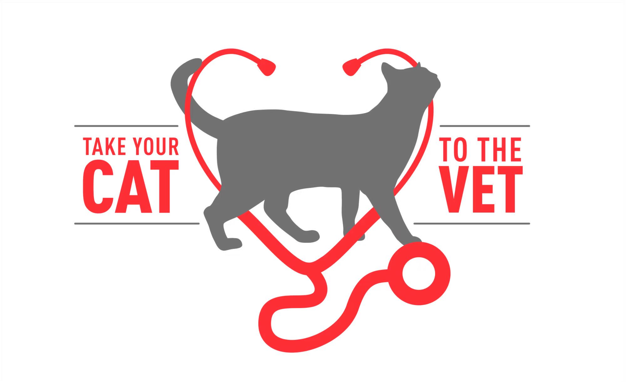 关爱宠物健康，皇家宠物食品鼓励宠主 “带猫去医院”