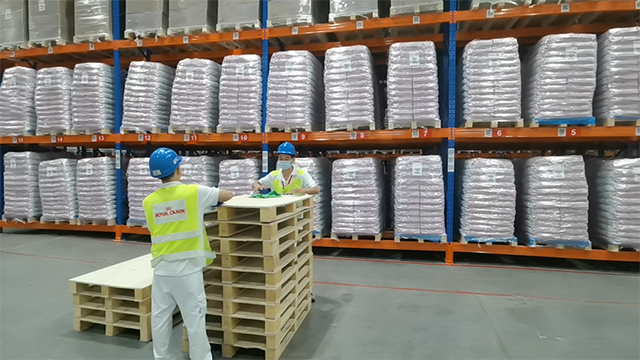 皇家用于可持续物流的可回收货运托盘