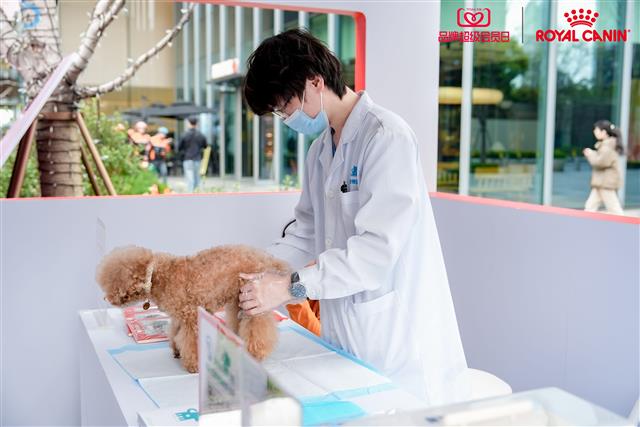 皇家“带宠去医院”巡演活动杭州站