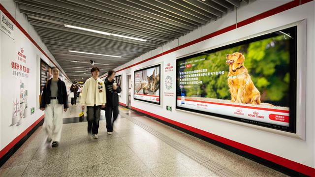 皇家“长寿犬猫陪伴故事”登上上海人民广场地铁站大屏