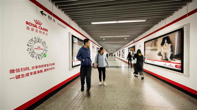 皇家“长寿犬猫陪伴故事”登上上海人民广场地铁站大屏
