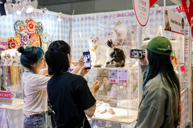 皇家繁育先行者街区