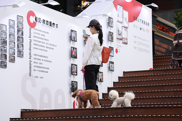 公众驻足影展，“看见”皇家与动物们的点滴瞬间