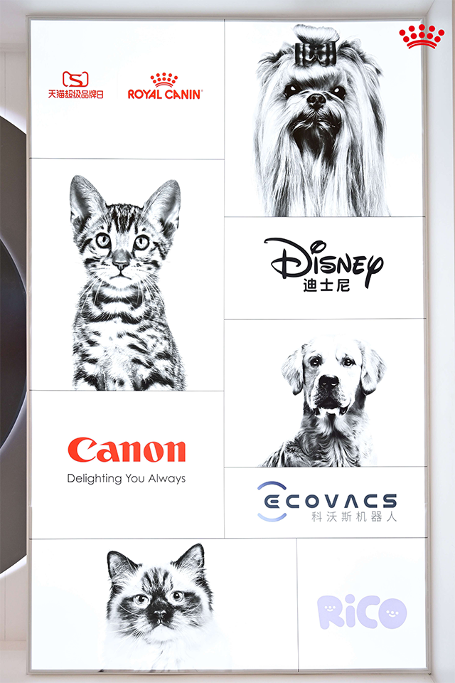 皇家展台打造多元跨界互动区