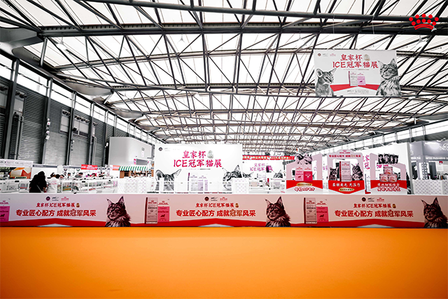 2025皇家杯ICE冠军猫展现场