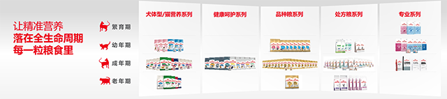 皇家让精准营养落在全生命周期每一粒粮食里