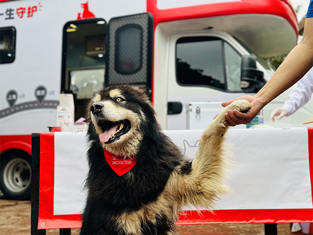 皇家互惠生态圈