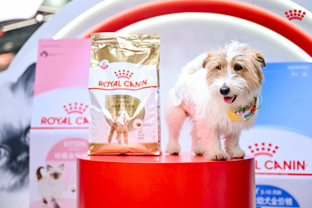 “阿皇帮你拍大片”吸引众多观众