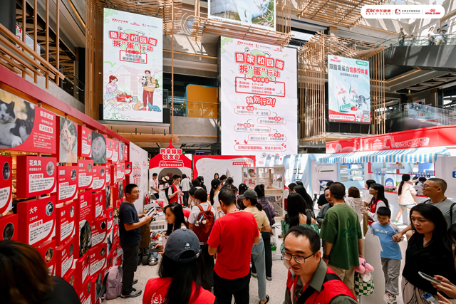 “校园喵”主题线下公益活动现场设置多元趣味互动