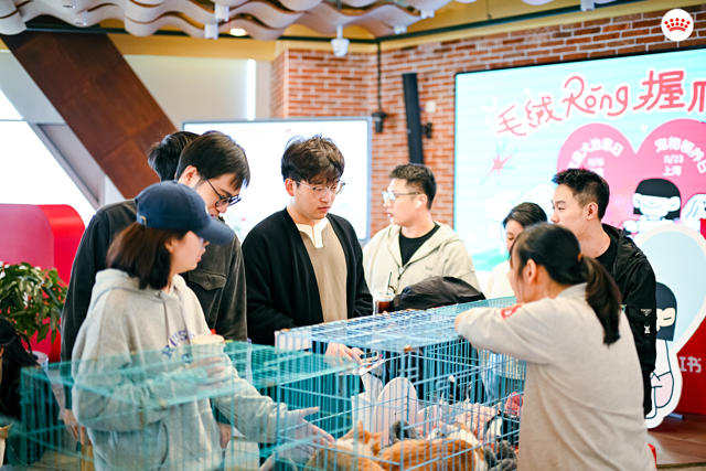 皇家联合首都爱护动物协会、上海领养日打造“领养小摊”