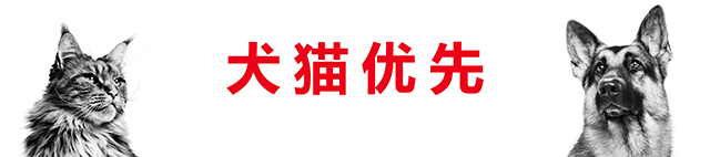 犬猫优先是皇家一切行动的灯塔