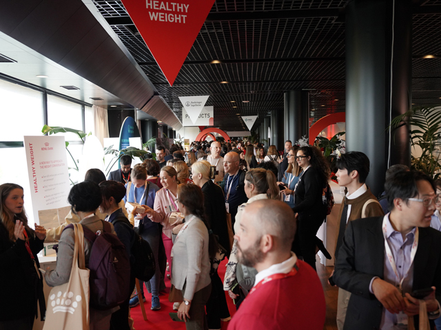 兽医专家们围绕“宠物体重管理”话题展开讨论