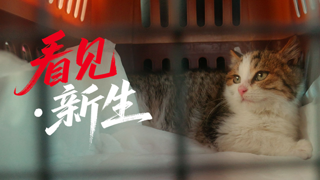 皇家“看见新生”公益领养项目正式启动