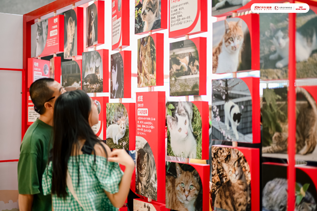 参与者可通过“校园喵故事站”了解校园流浪猫救助故事