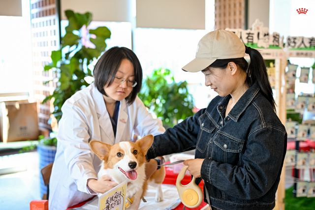 皇家科学技术部专家为宠物现场义诊
