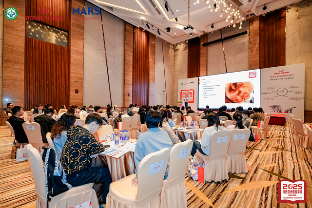 国际兽医内科专家、世界小动物兽医协会治疗委员会联合主席 Dr. Fergus Allerton现场教学