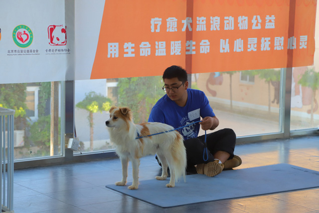 皇家联合首都爱护动物协会开展“疗愈犬101”项目