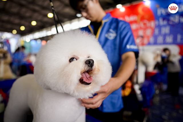 “皇家杯”首届上海国际美容师邀请赛现场