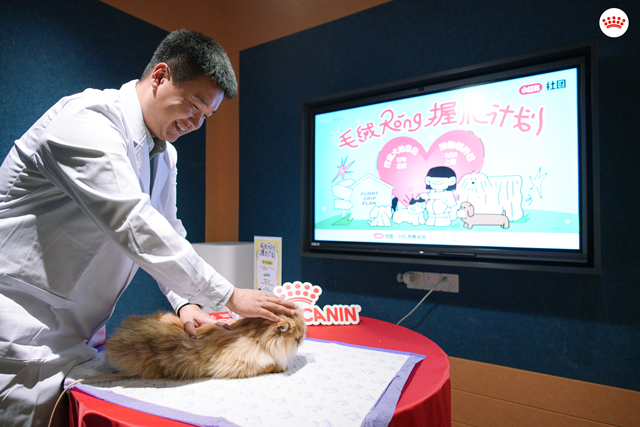 皇家科学技术部专家为宠物现场义诊