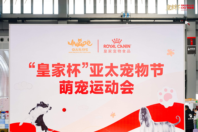 皇家“萌宠运动会”及现场互动环节