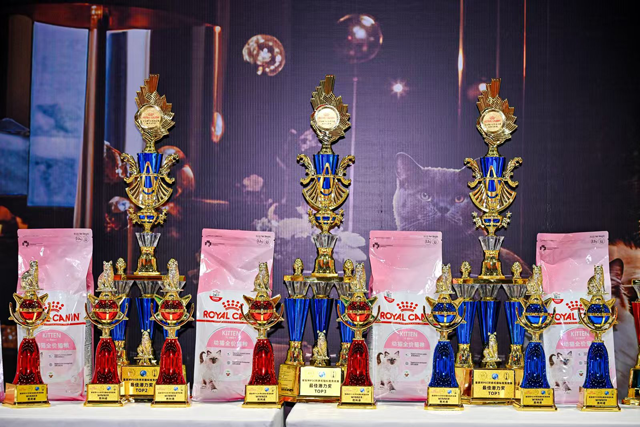 皇家杯PSC环球名猫标准竞技赛的成功举办，是一次行业标准、国际视野、品牌力量与平台资源的多维交响