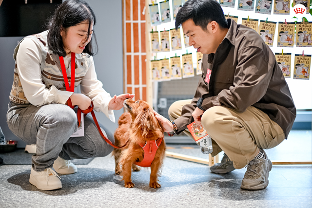 疗愈犬亮相“毛绒绒握爪计划”，帮助同事舒缓职场压力