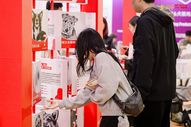 皇家“萌宠运动会”及现场互动环节