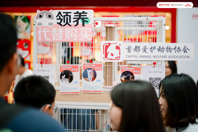 首都爱护动物协会带来疗愈犬互动和流浪动物领养活动