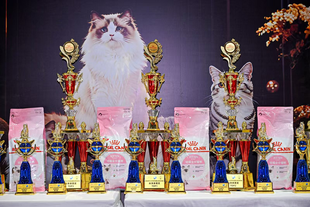 皇家杯PSC环球名猫标准竞技赛的成功举办，是一次行业标准、国际视野、品牌力量与平台资源的多维交响