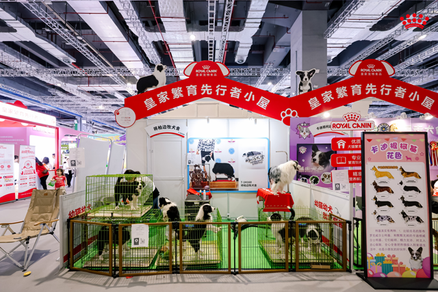 皇家繁育先行者街区