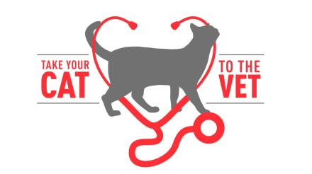 关爱宠物健康，皇家宠物食品鼓励宠主 “带猫去医院”