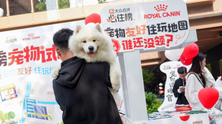 携宠同行，乐享六城：皇家携手大众点评“必住榜”共绘宠物友好新蓝图