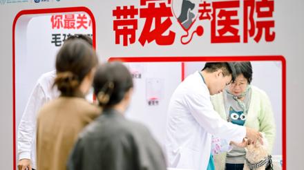 皇家宠物食品“带宠去医院”八载同行：以专业之力守护健康，以科学之心延续陪伴